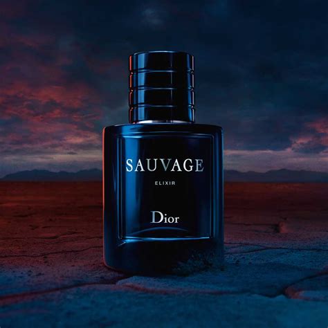 dior sauvage duftbeschreibung|Dior wild parfum.